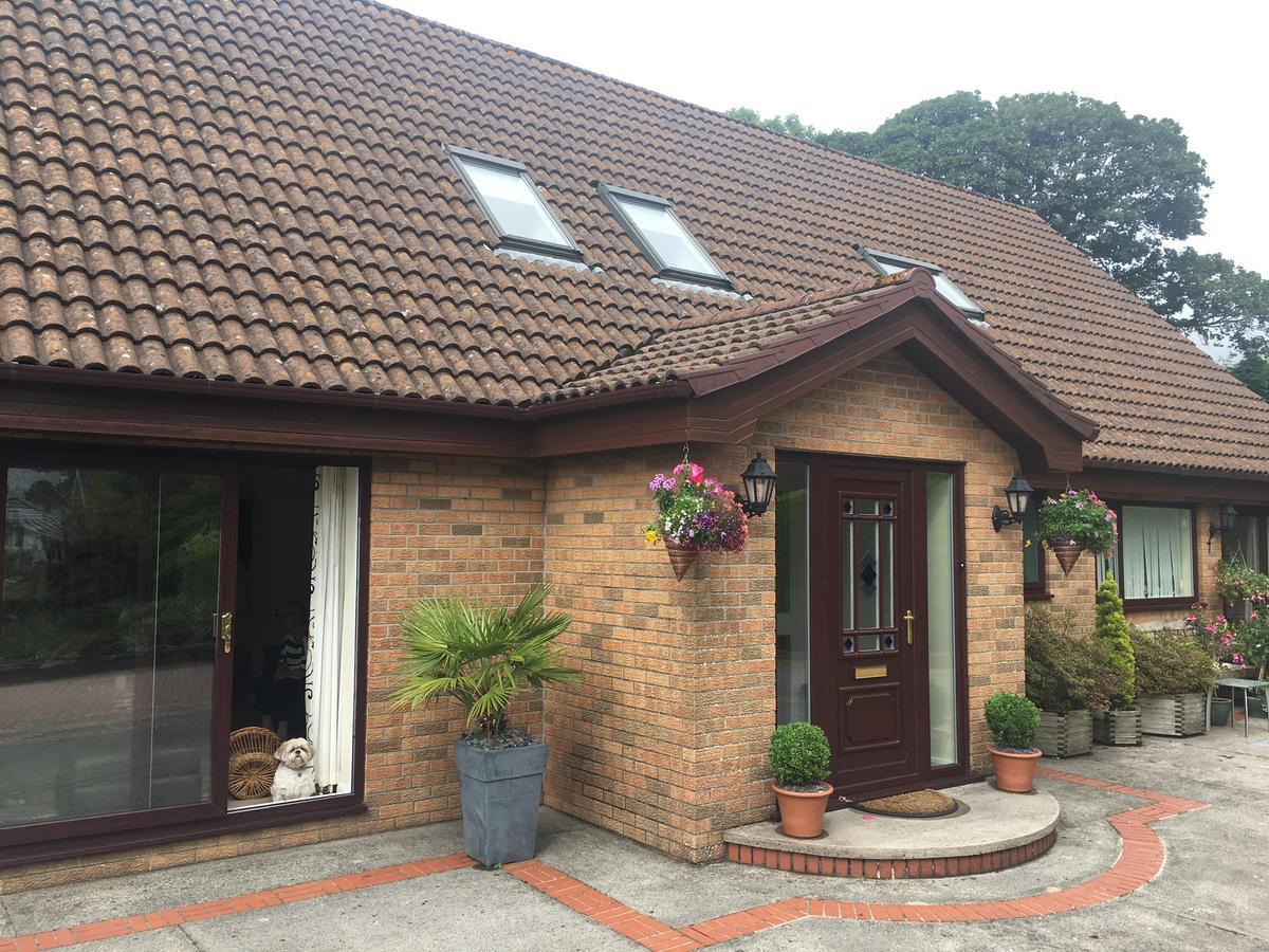 The Firs - Englefied Studio Bed & Breakfast Douglas Luaran gambar